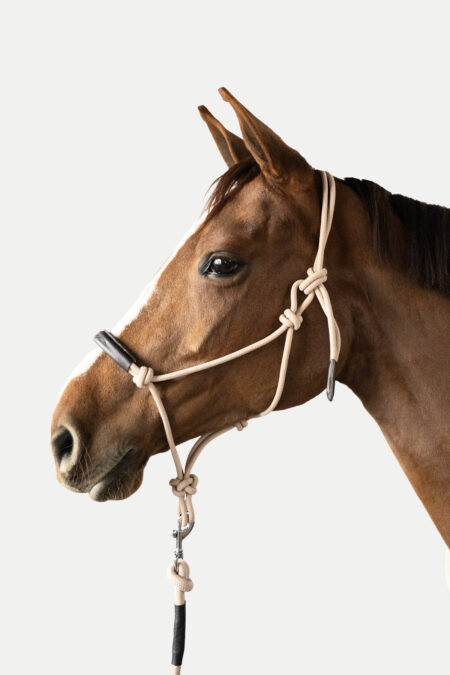 Amiko Rope Halter, Cream