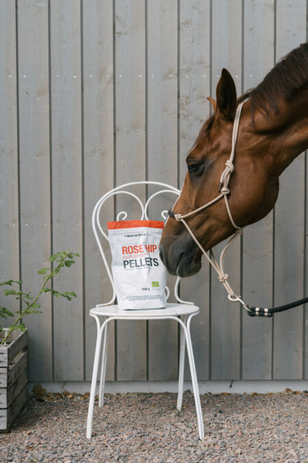 Back on Track, Rose Hip Pellets, 1500 gr