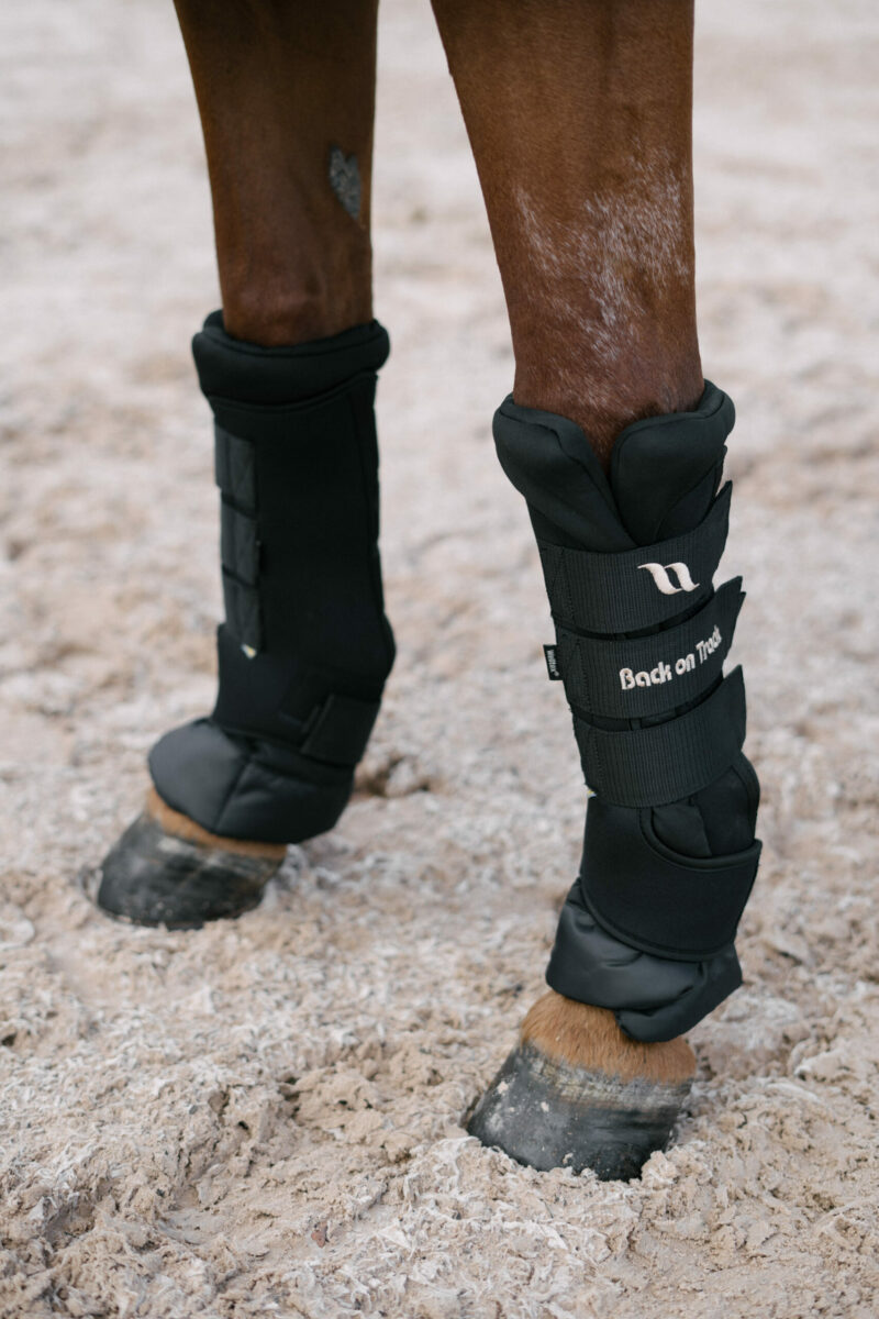 Back on Track, Royal Deluxe Quick Wrap Stable Boots, Zwart