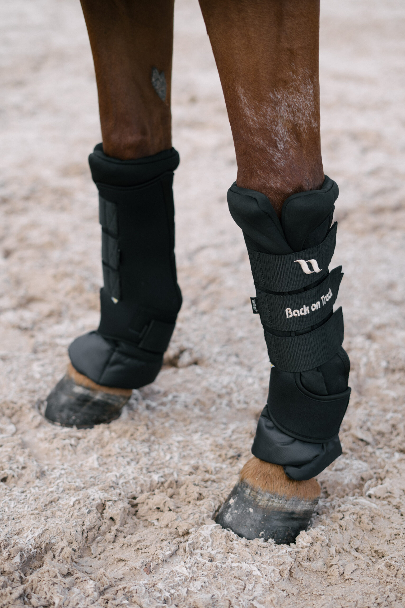 Back on Track, Royal Deluxe Quick Wrap Stallskydd, Svart
