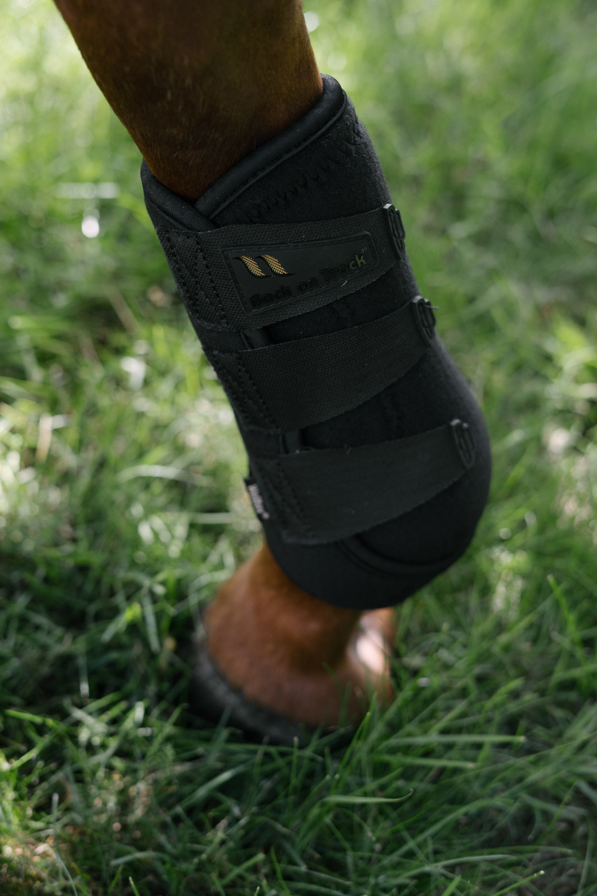 Botas de ejercicio Airflow Back on Track, color negro