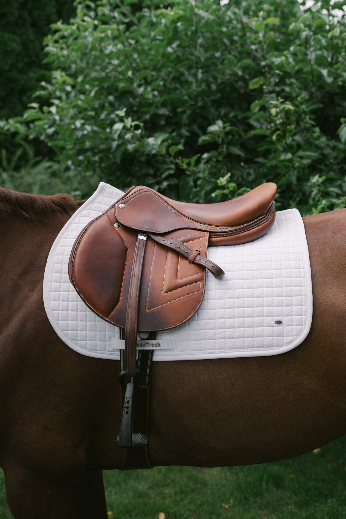 Back on Track, Saddle Pad Jumping No. II, White