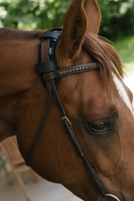 Back on Track, Poll Cover