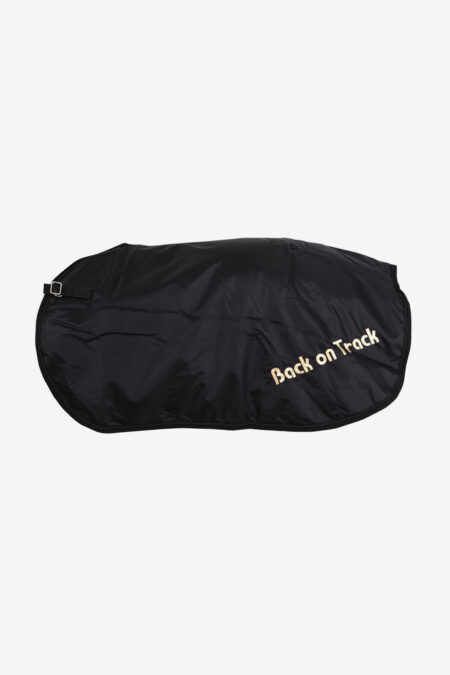 Back on Track, Loin Rug