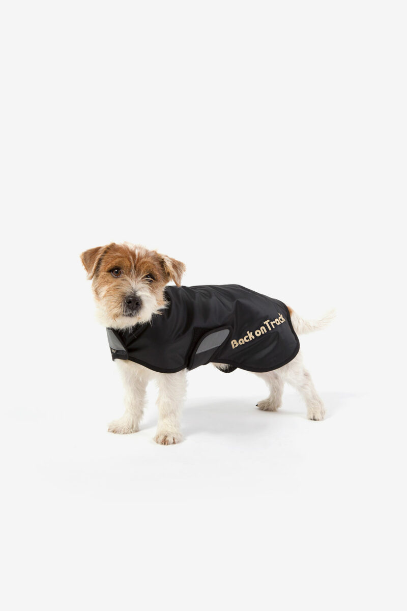 Back on Track, Hugo Standard Dog Rug, Black
