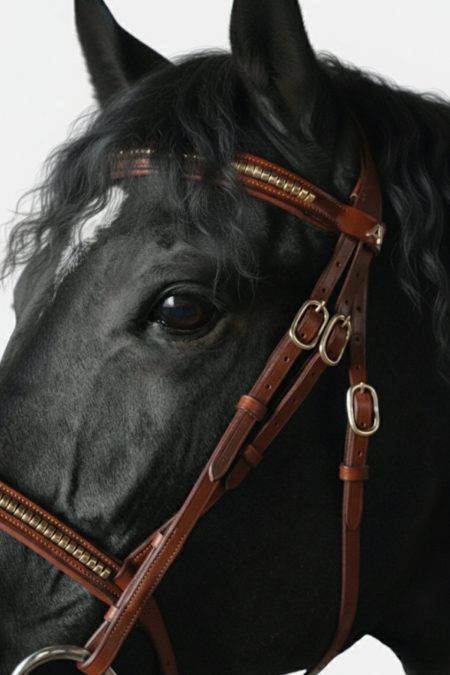 Amiko Straight Clincher Browband, Cognac
