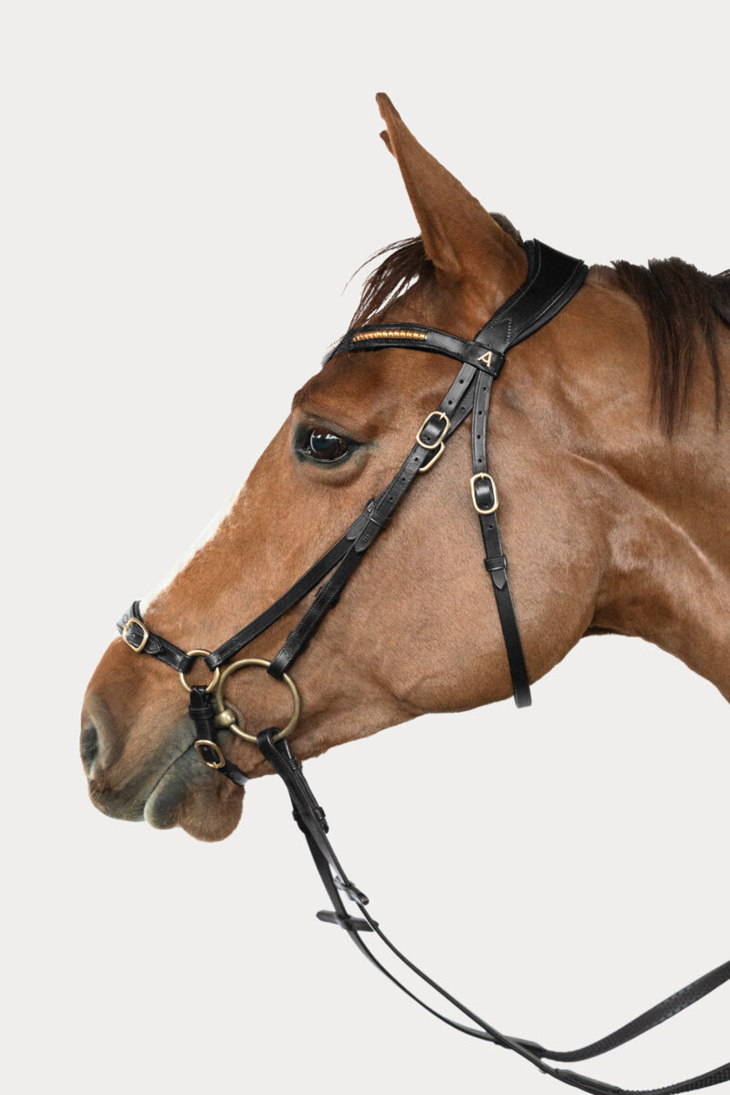 Amiko Essential Noseband Remont, Black