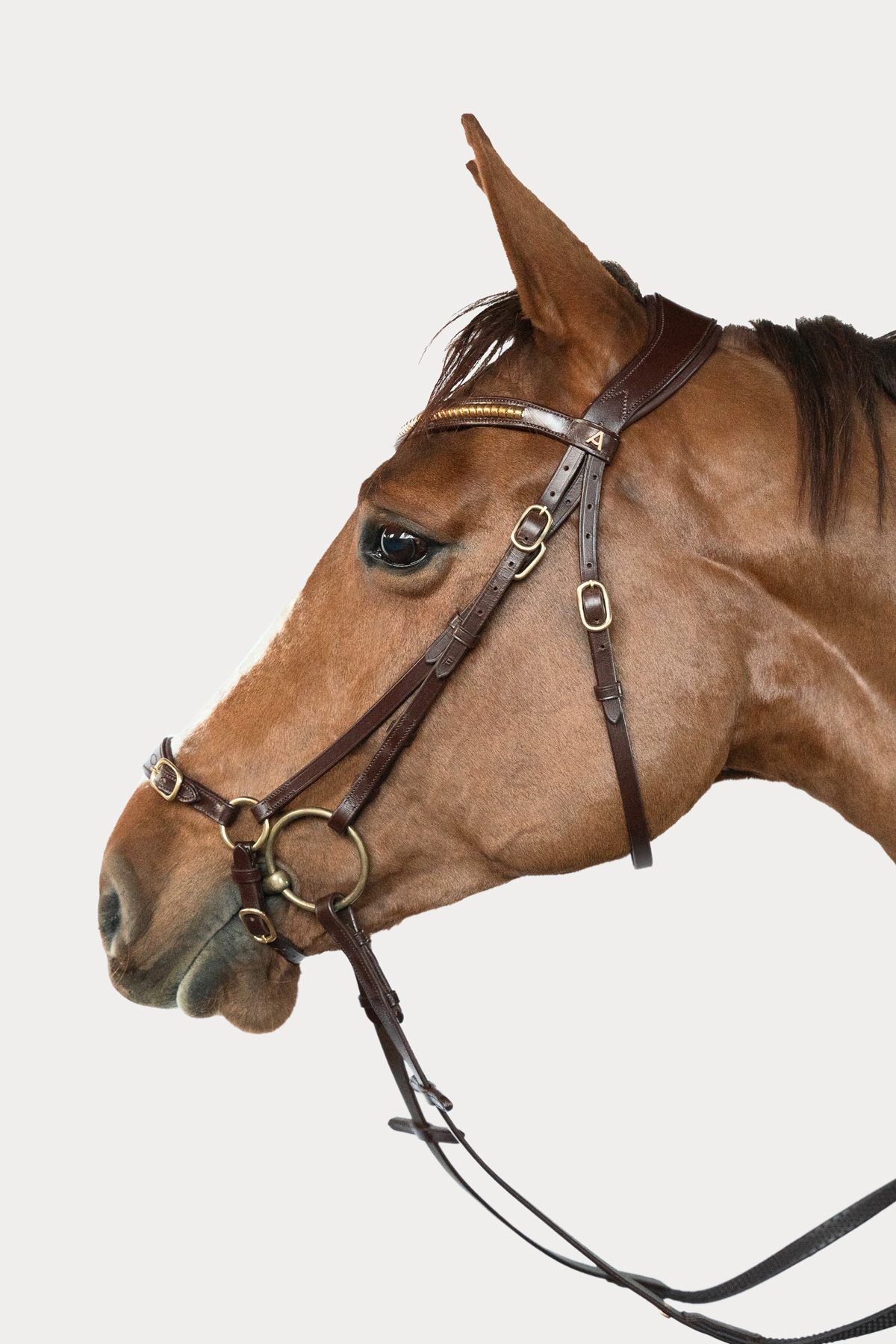 Amiko Essential Noseband Remont, Havana Brown