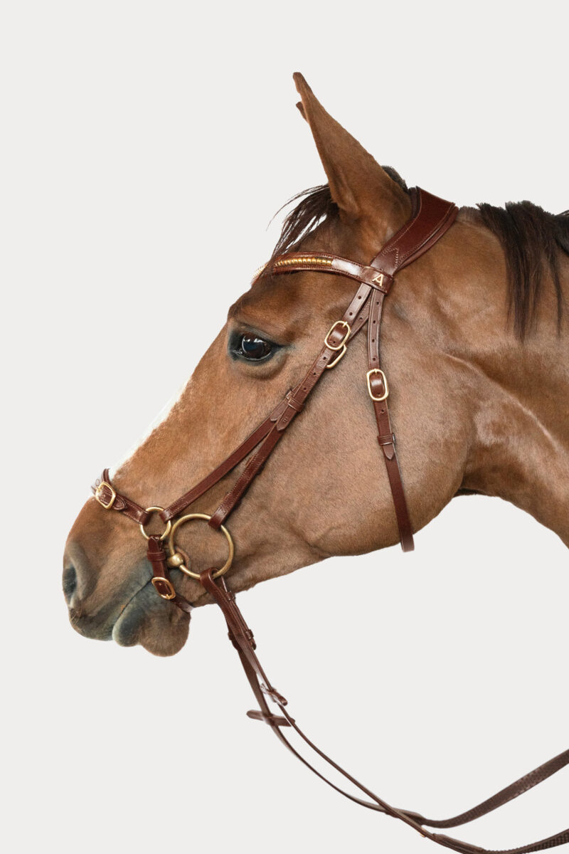 Amiko Essential Noseband Remont, Cognac