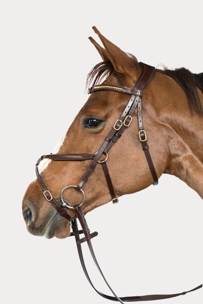 Amiko Essential Noseband Mexican, Havana Brown