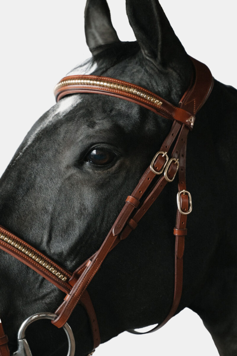 Frontal droit Amiko Essential Clincher, cognac