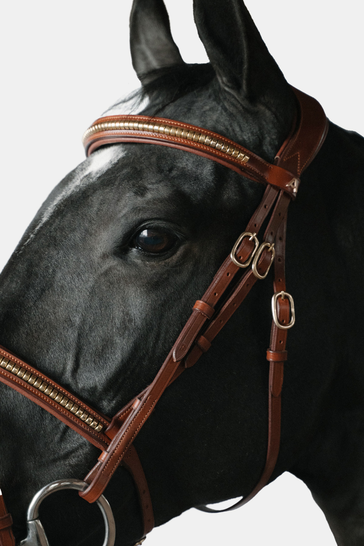 Frontal droit Amiko Essential Clincher, cognac