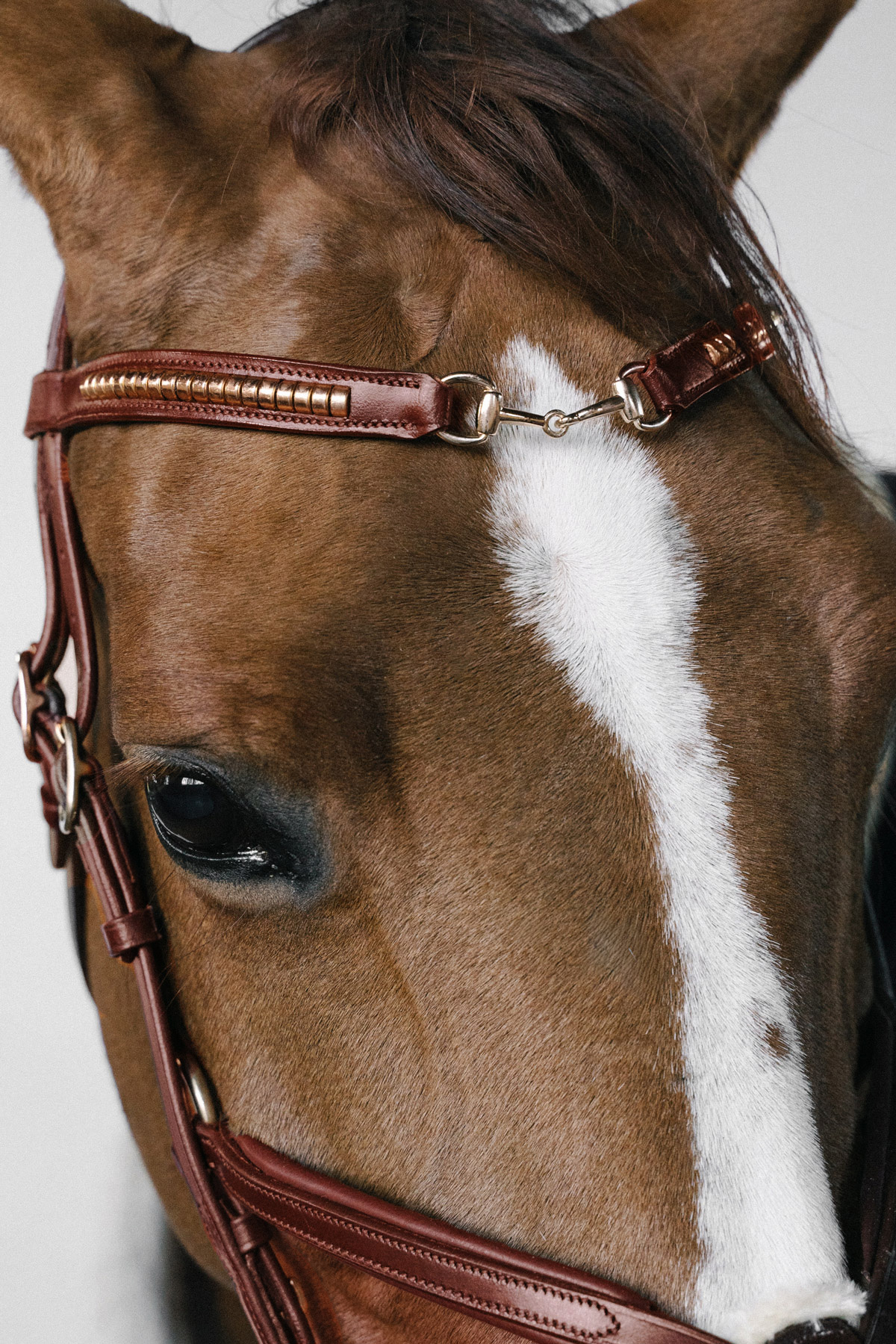 Amiko Essential Frontriem Clincher Bit, Cognac