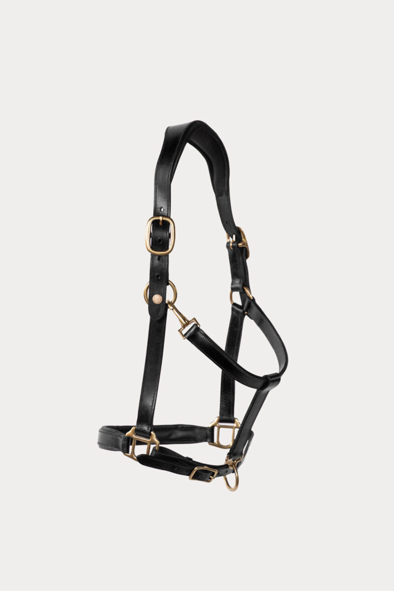 Cabestro de cuero Amiko Essential, negro