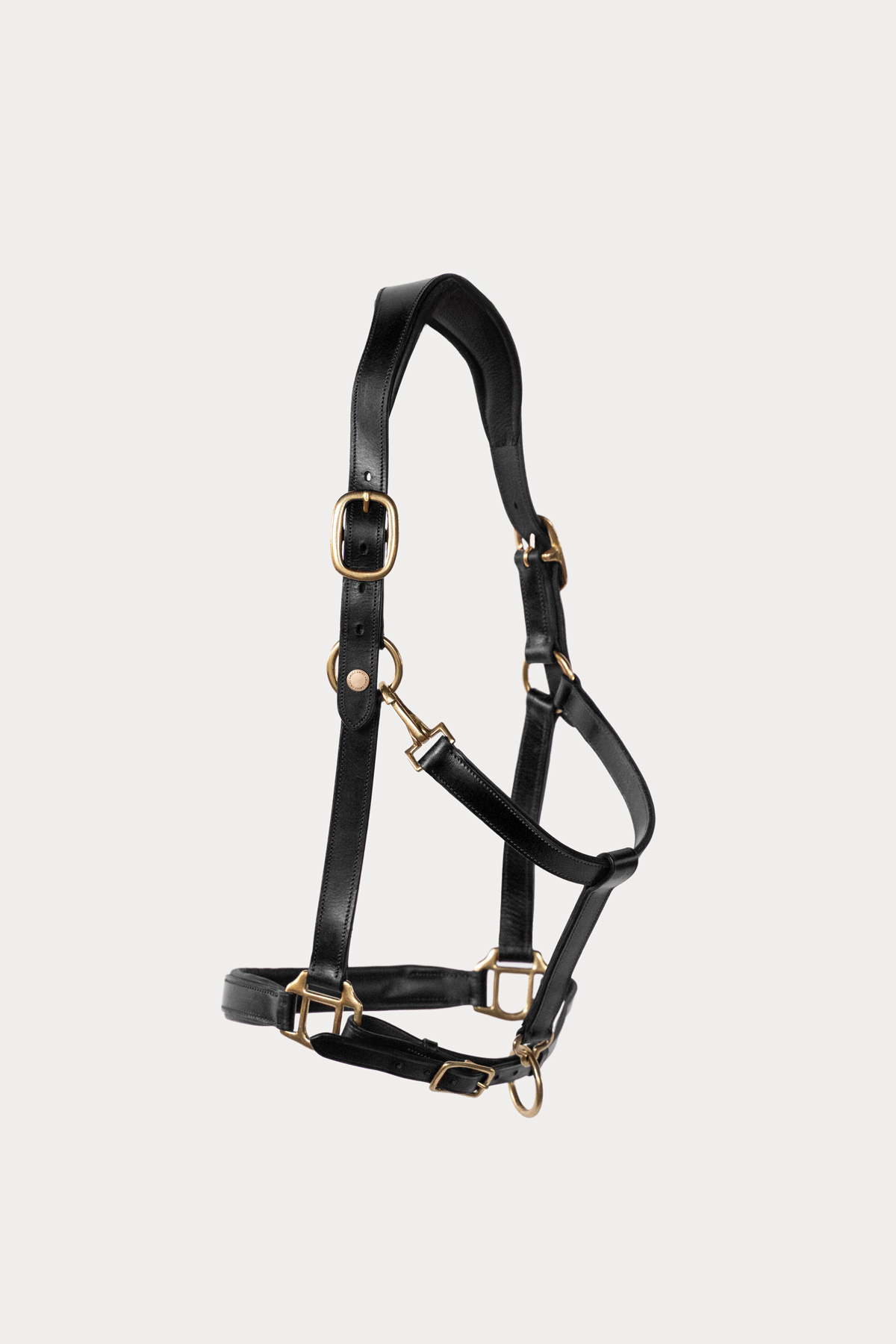 Cabestro de cuero Amiko Essential, negro