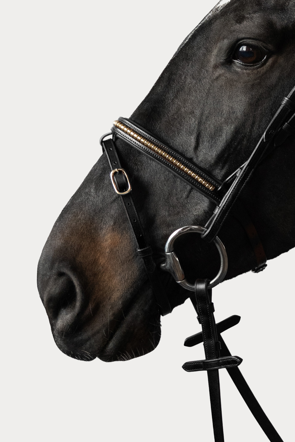 Amiko Essential Noseband Clincher, Black