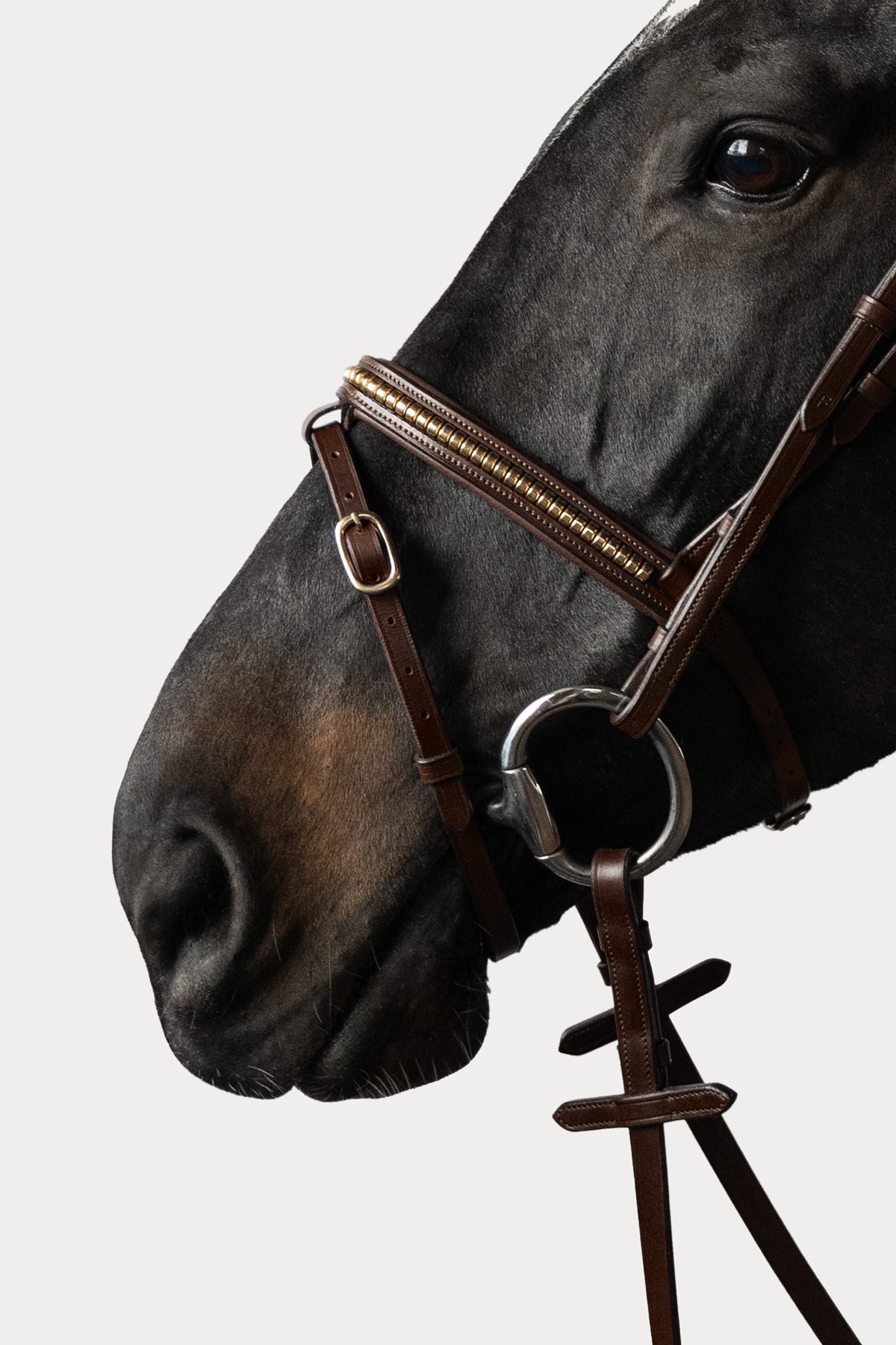 Amiko Essential Noseband Clincher, Havana Brown