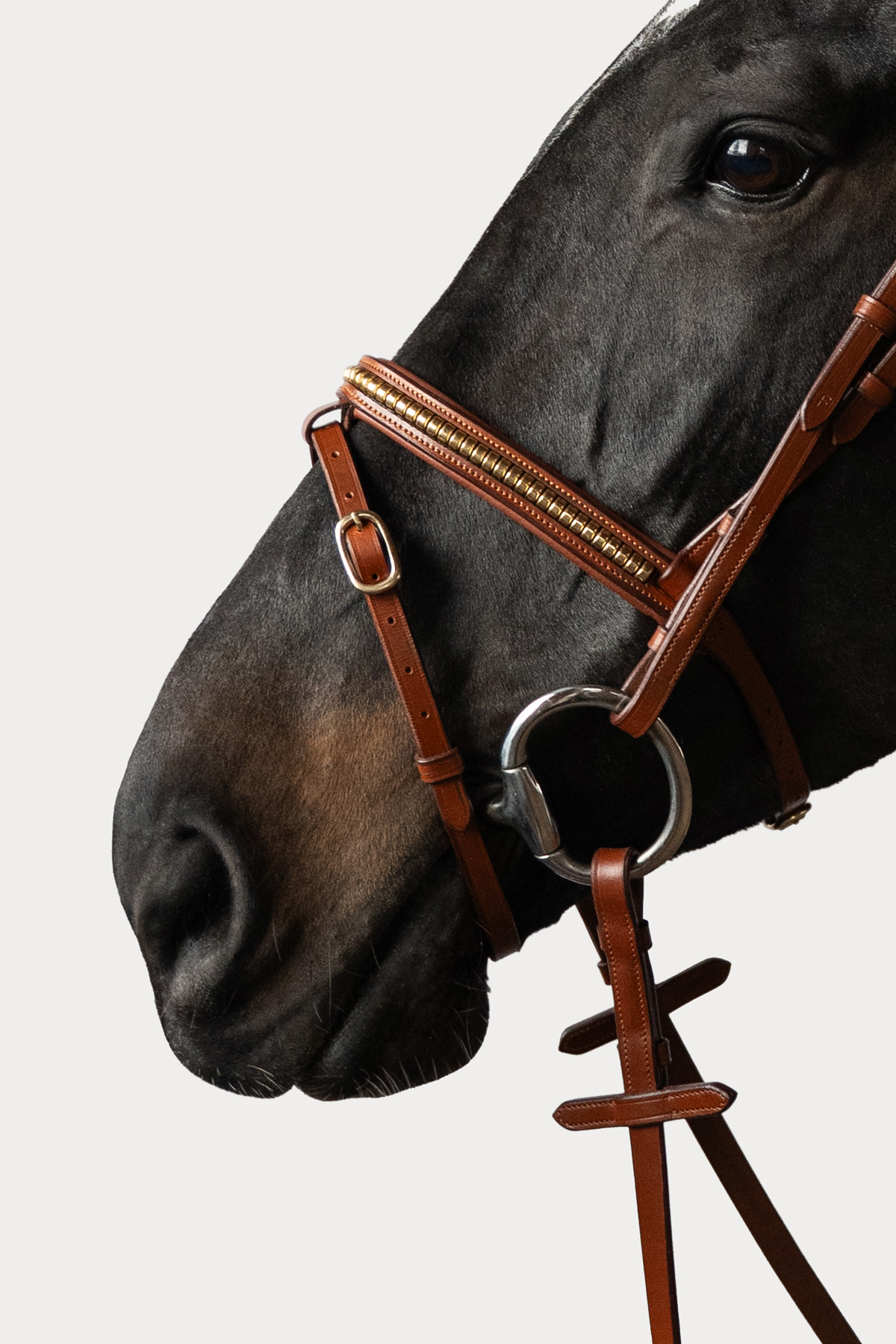 Amiko Essential Noseband Clincher, Cognac