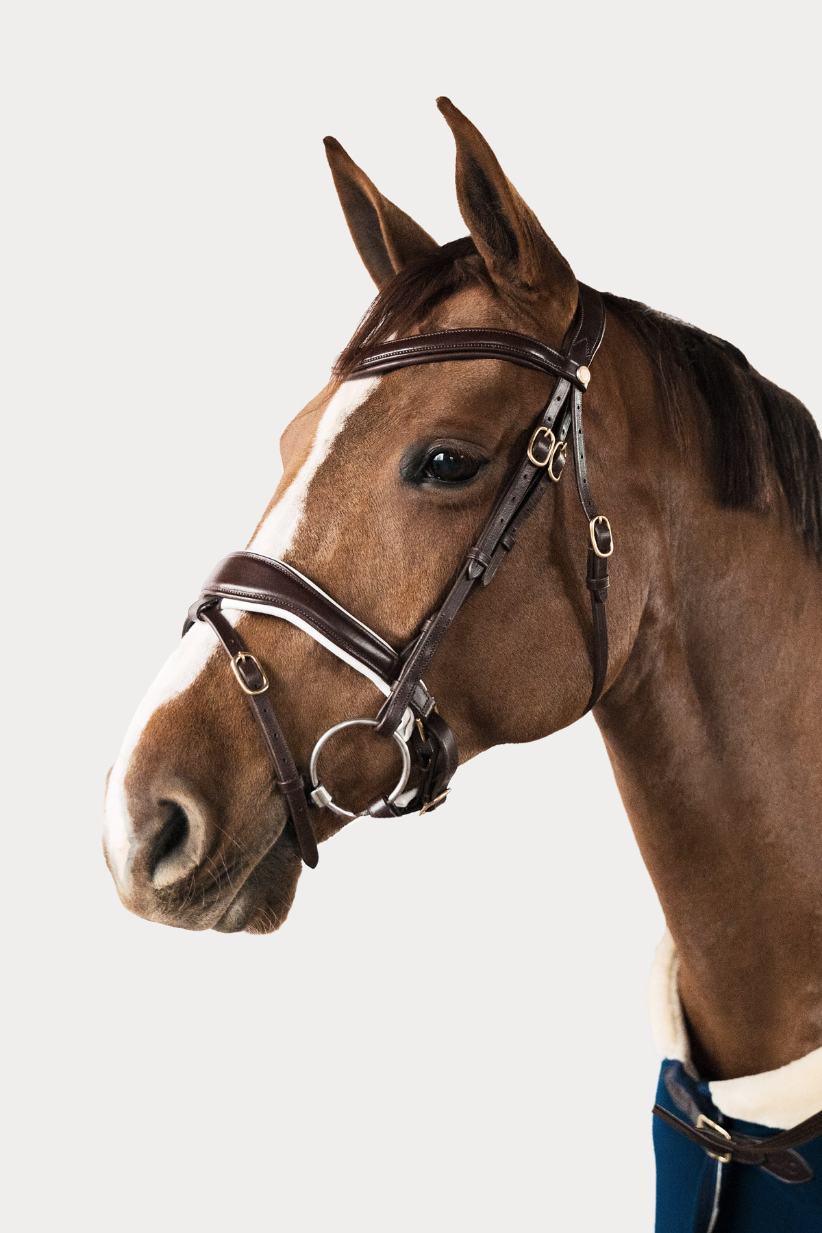 Bride de dressage Amiko Essential, marron havane