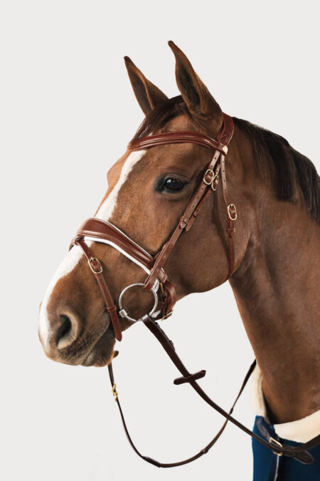 Amiko Bridle Dressage, Cognac
