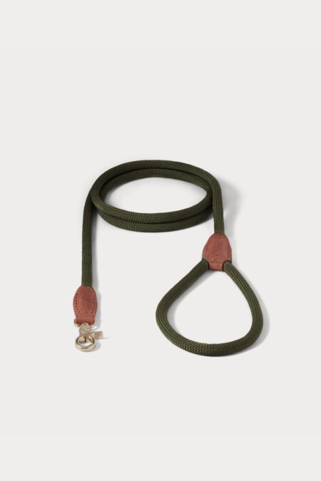 Denjo Dogs, Dog Lead Torekov Shimmer Green