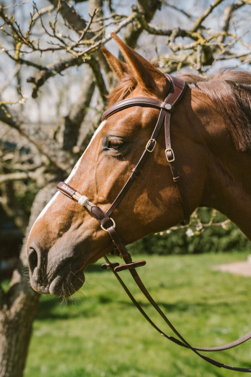 Amiko Freedom Bridle, Havana Brown