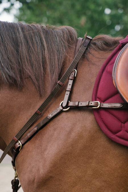 Amiko Classic Bridge Breastplate with Martingale Attachment, Havana Brown