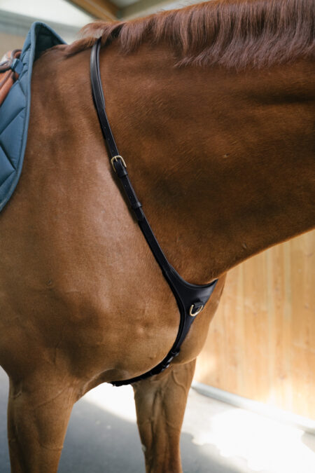 Amiko Yoke Martingale, Black