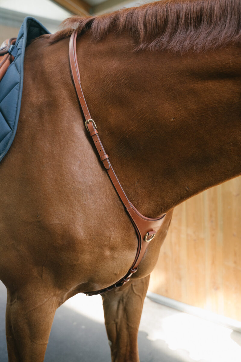 Martingale Amiko Essential Yoke, Cognac
