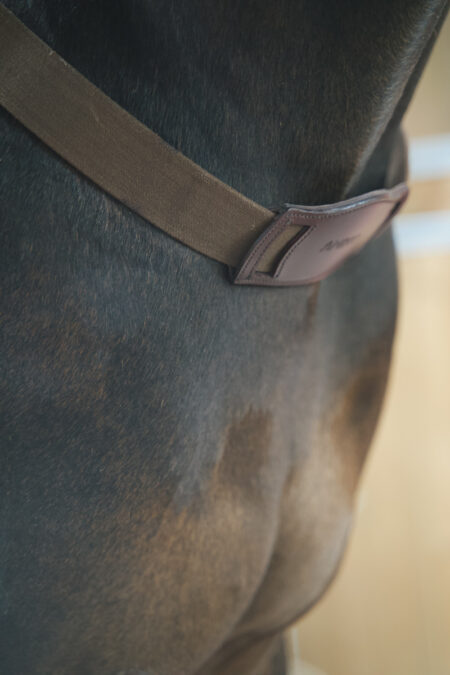 Amiko Breast Collar Elastic, Havana Brown