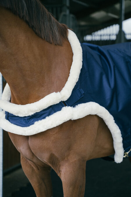 Amiko Walker Rug, Navy