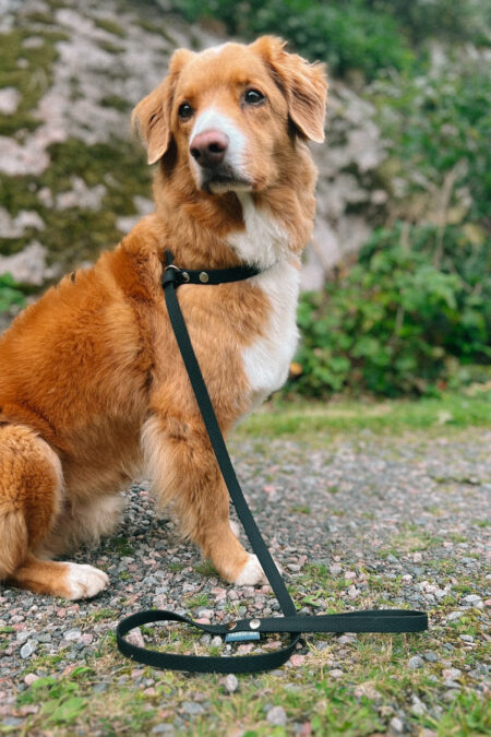 Tassmark, Fanny Dog Slip Lead, Black