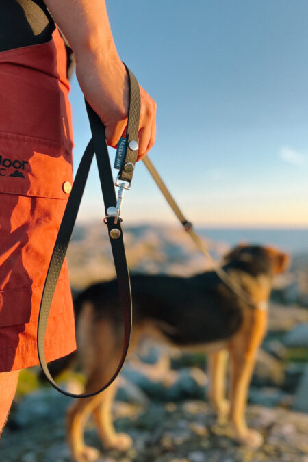 Tassmark, Rex Adjustable Multileash 2m, Black