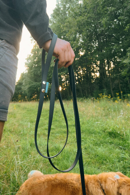 Tassmark, Svante Dog Leash 2m, Black