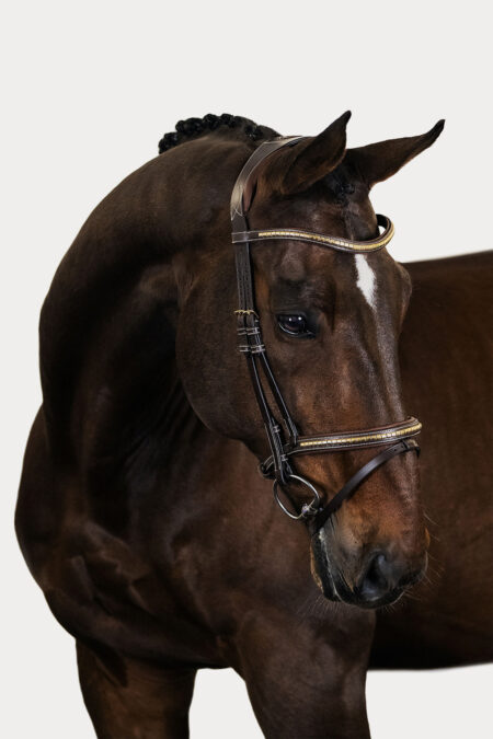 PS of Sweden, Antwerp Bridle, Brown Leather