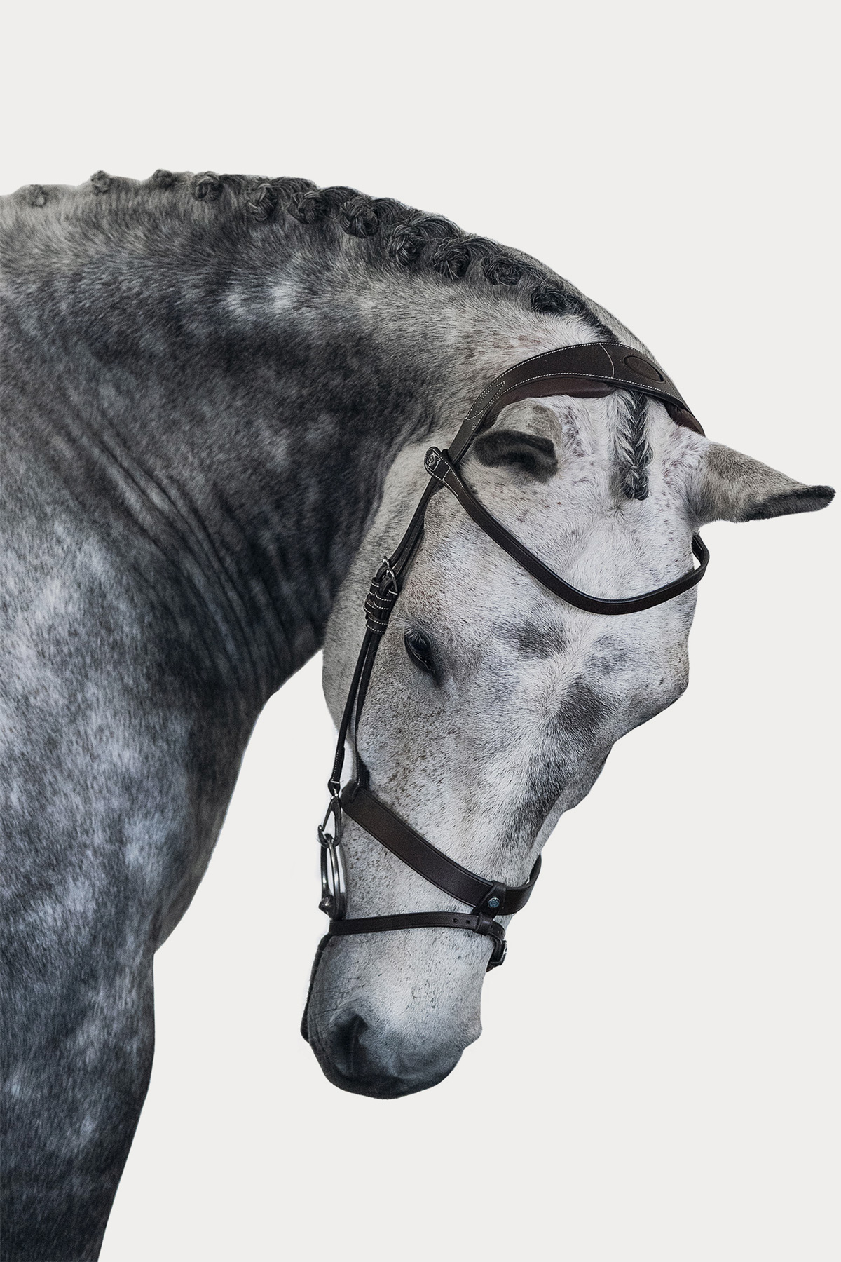 PS of Sweden, London Bridle, Brown Leather