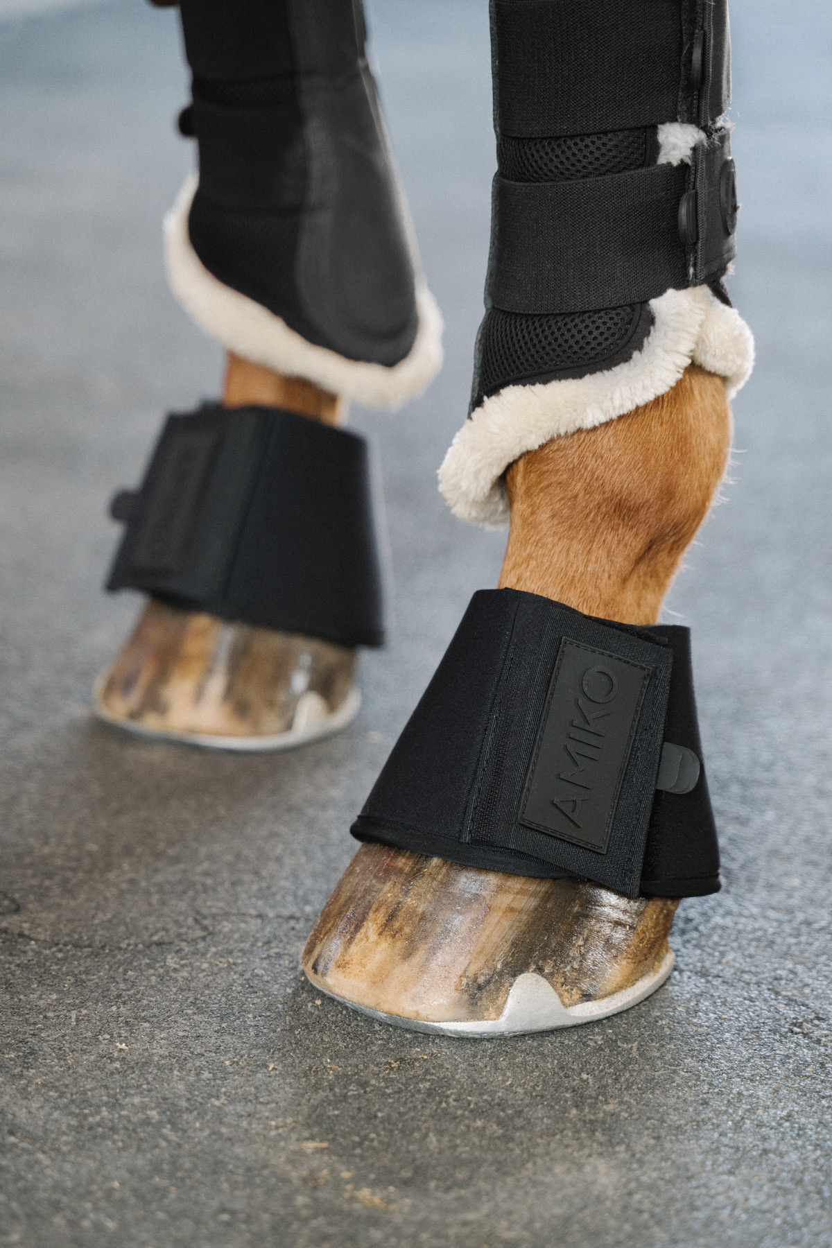Amiko Essential Bell Boots Neopren, Black