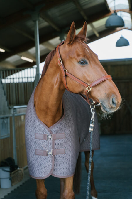 Amiko Performance Spacer Cooler Rug, Deep Taupe