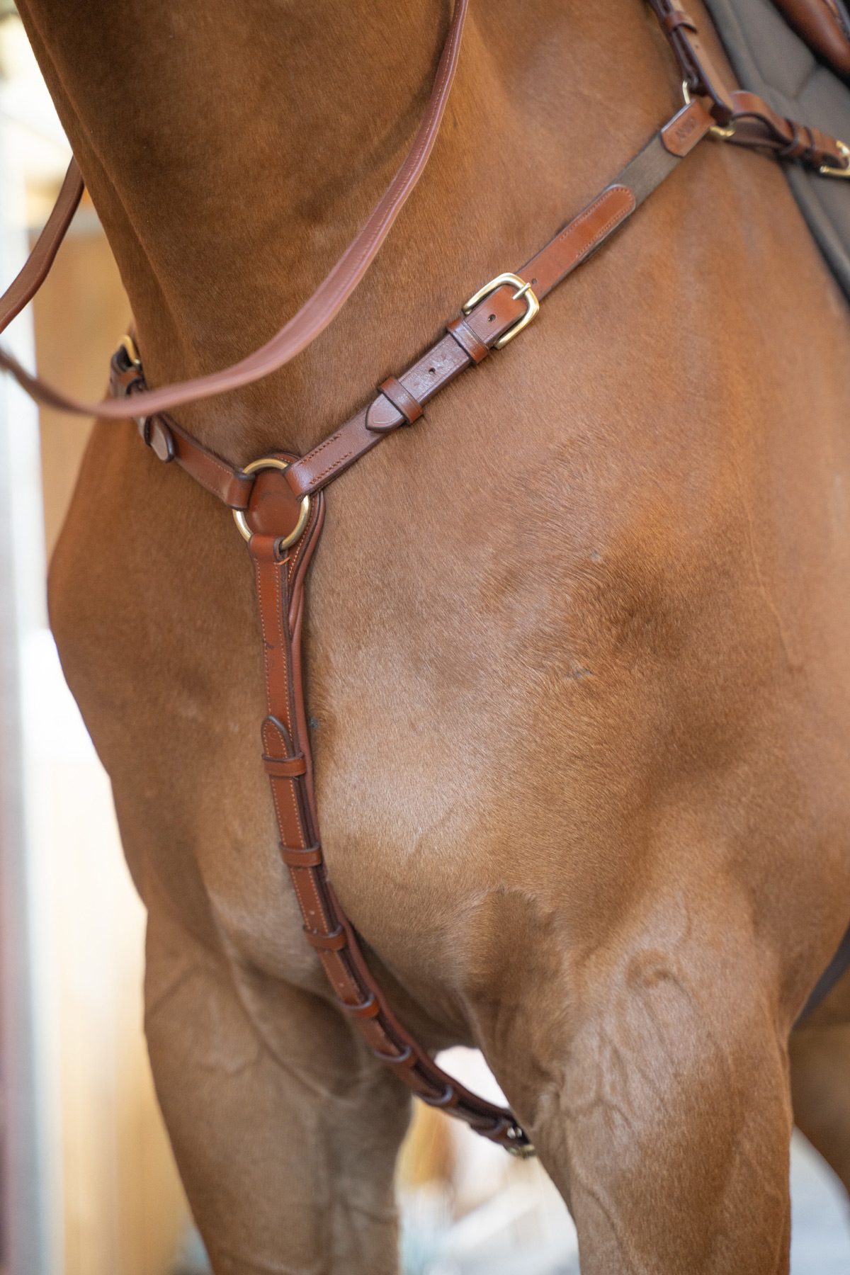 Amiko Essential Bridge Breastplate, Cognac