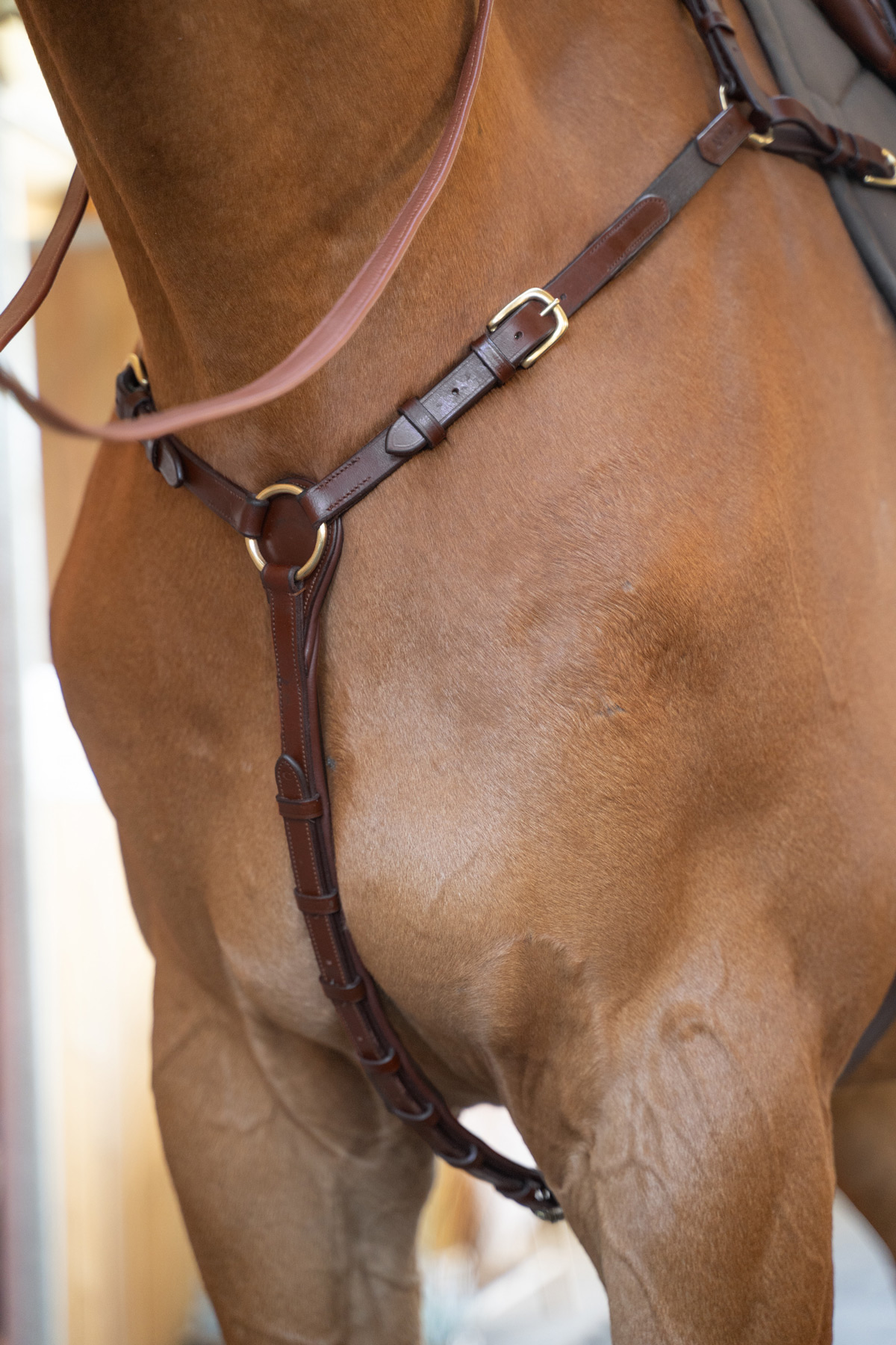 Amiko Essential Bridge Breastplate, Havana Brown