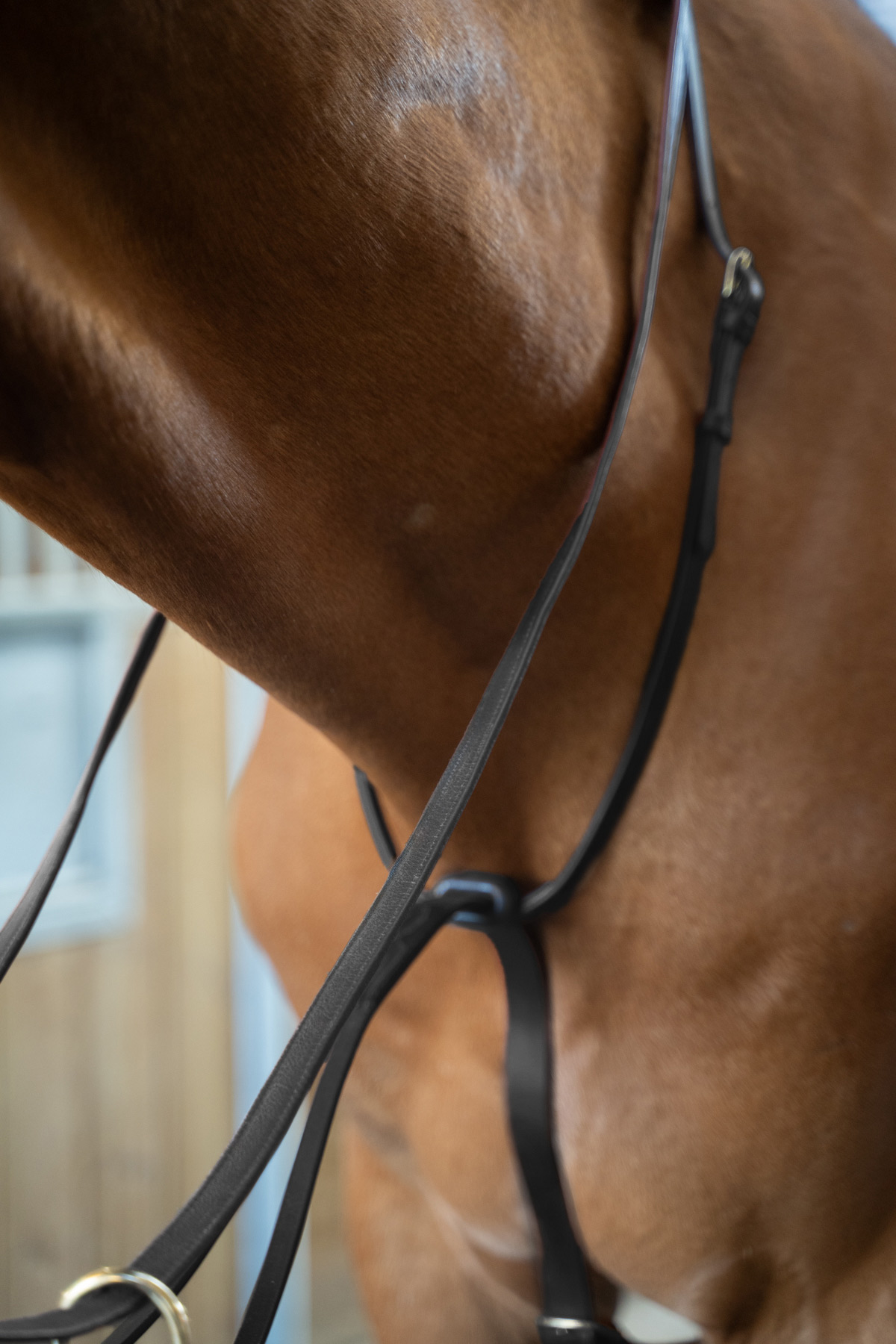 Amiko Essential Classic Martingale, Zwart