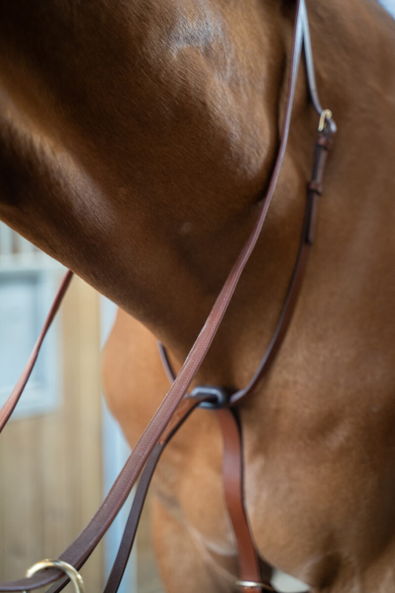 Amiko Essential Classic Martingale, Cognac
