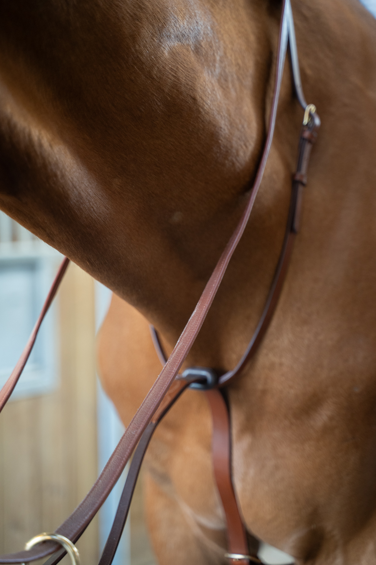 Amiko Essential Classic Martingale, Cognac
