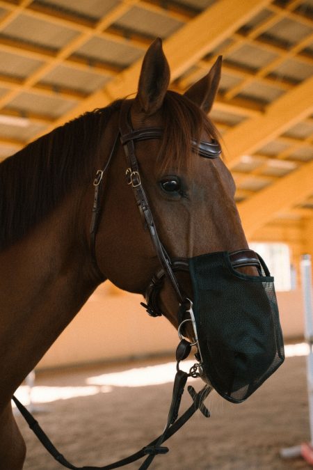 Amiko Mulemask, Black