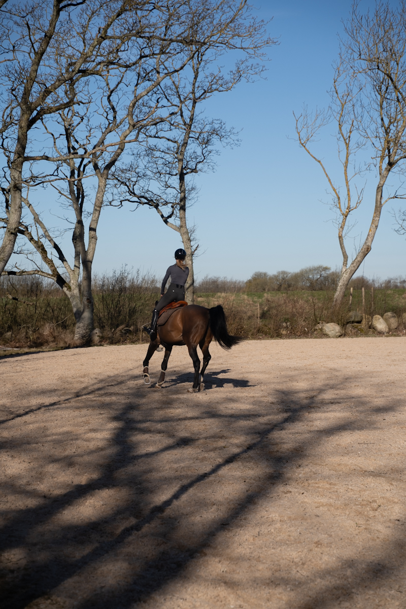 Riding breeches women
