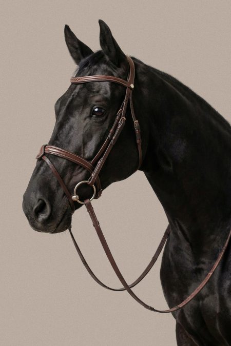 Goyer Sellier Bridle Classic, Brown