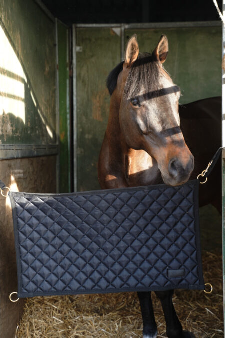 Amiko  Stable Guard, Black