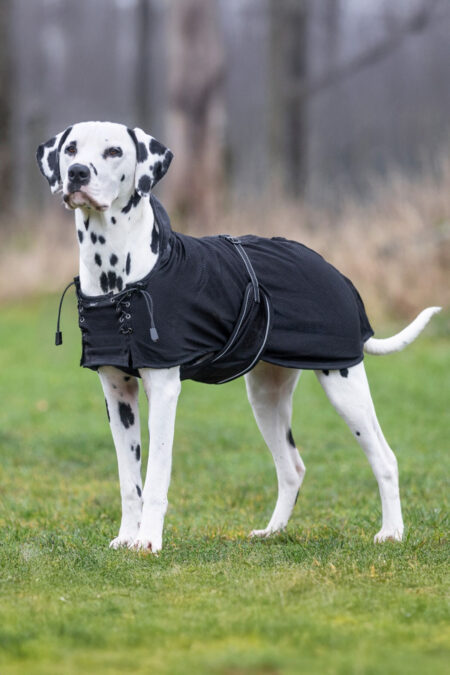 Back on Track, Mesh Dog Coat, Black
