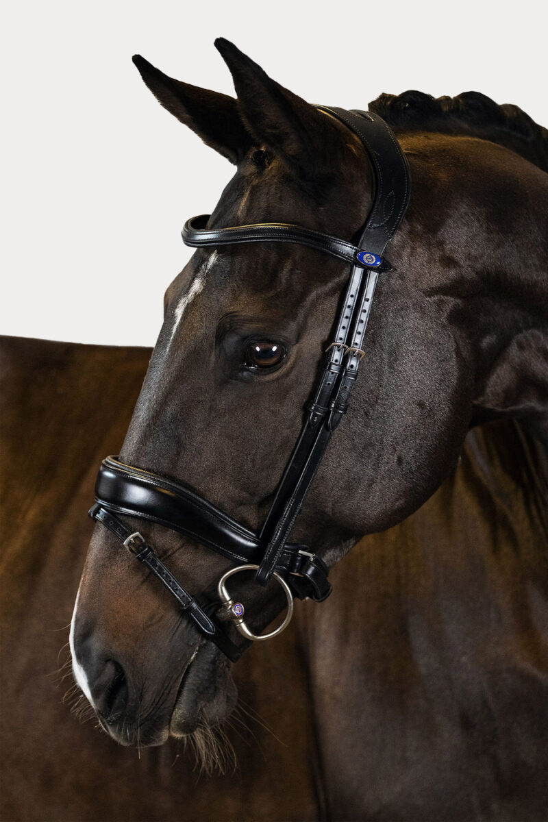 PS of Sweden, Bridle Flying Change, Black Leather