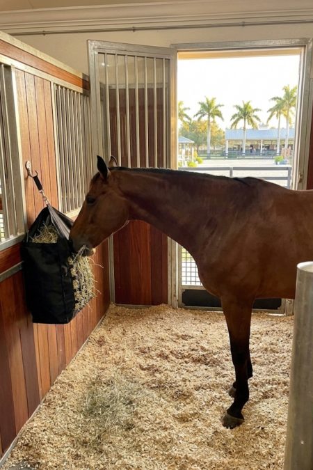 Amiko Hay Bag Feeder, Black